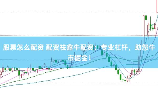 股票怎么配资 配资祛鑫牛配资：专业杠杆，助您牛市掘金！