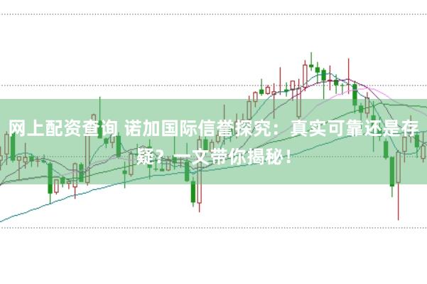 网上配资查询 诺加国际信誉探究：真实可靠还是存疑？一文带你揭秘！