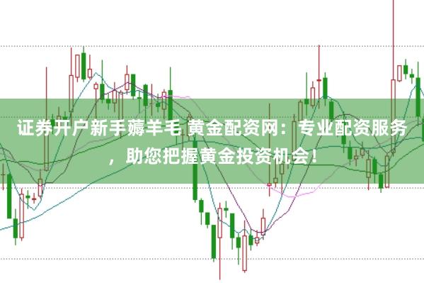 证券开户新手薅羊毛 黄金配资网：专业配资服务，助您把握黄金投资机会！